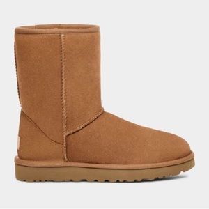 UGGS Women's Classic Short II chestnut size 8
